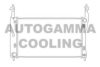 WEZEL 37002432 Radiator, engine cooling